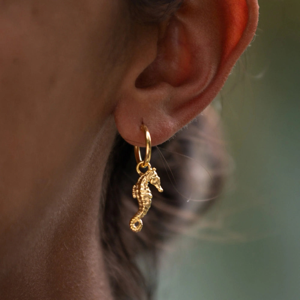 Gold Plated Seahorse Charm Hoop Earrings CHEGSEA-MINI