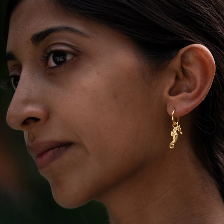 Gold Plated Seahorse Charm Hoop Earrings CHEGSEA-MINI