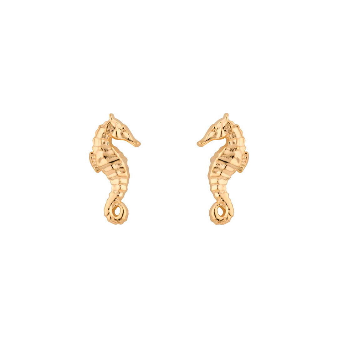 Gold Plated Seahorse Stud Earrings SEGSEA
