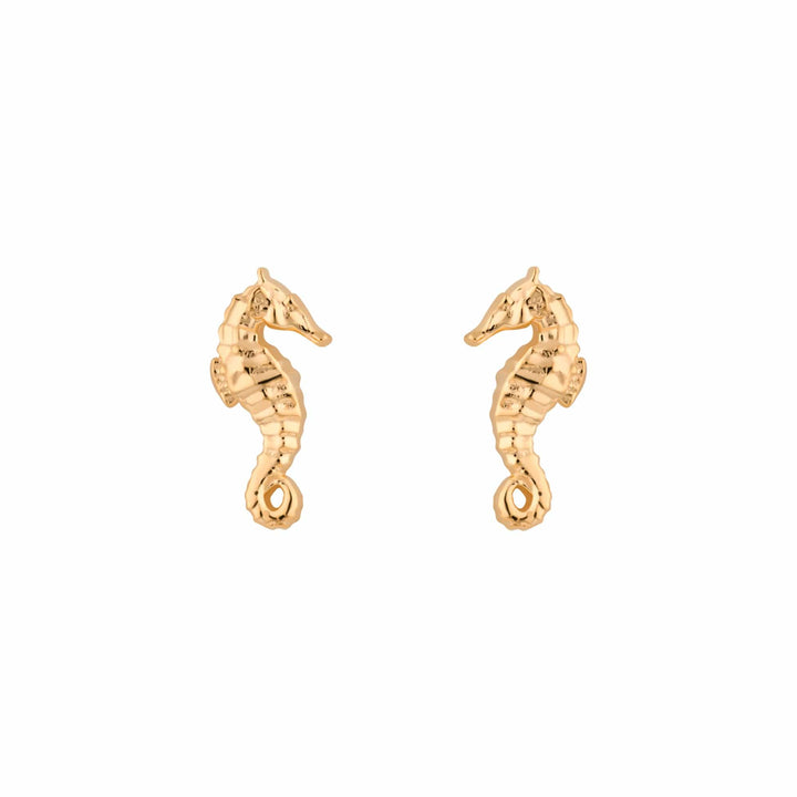Gold Plated Seahorse Stud Earrings SEGSEA