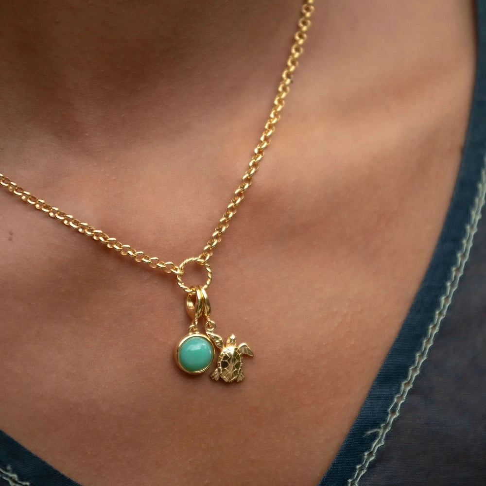 Gold Plated Turtle Charm CGTU
