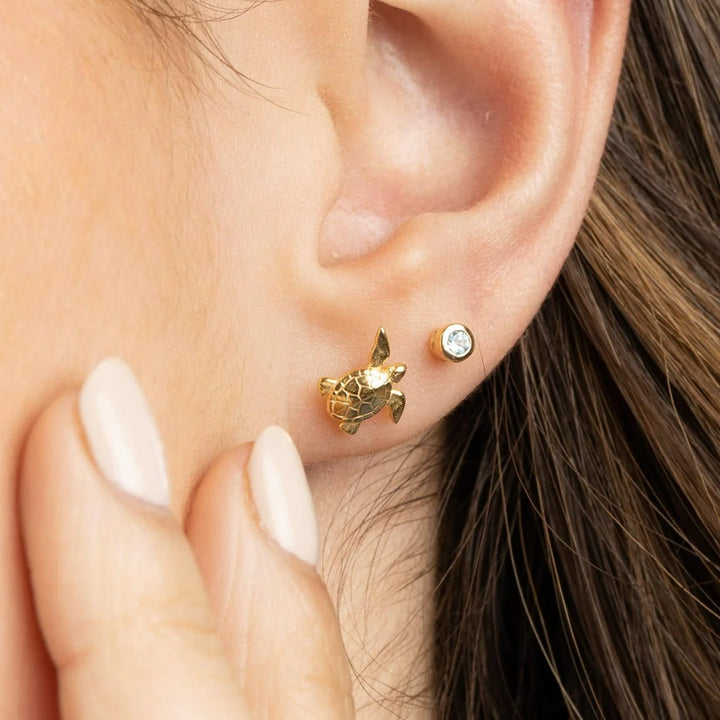 Gold Plated Turtle Stud Earrings SEGTU
