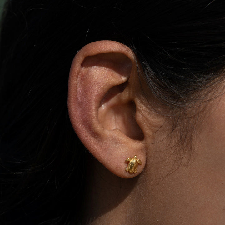 Gold Plated Turtle Stud Earrings SEGTU