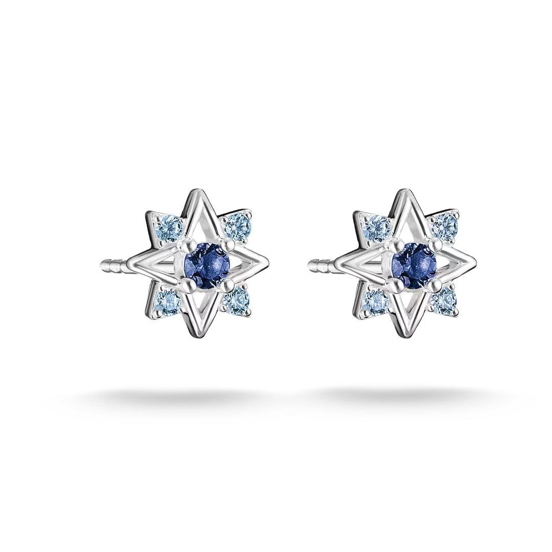 A pair of silver star-shaped stud earrings, each featuring a central round blue sapphire surrounded by six small light blue round stones, set against a plain white background.