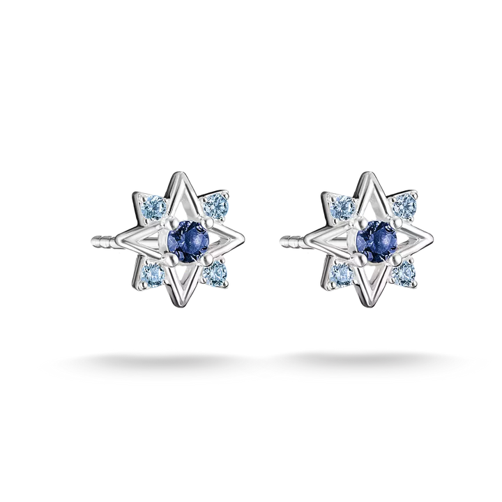 A pair of silver star-shaped stud earrings, each featuring a central round blue sapphire surrounded by six small light blue round stones, set against a plain white background.