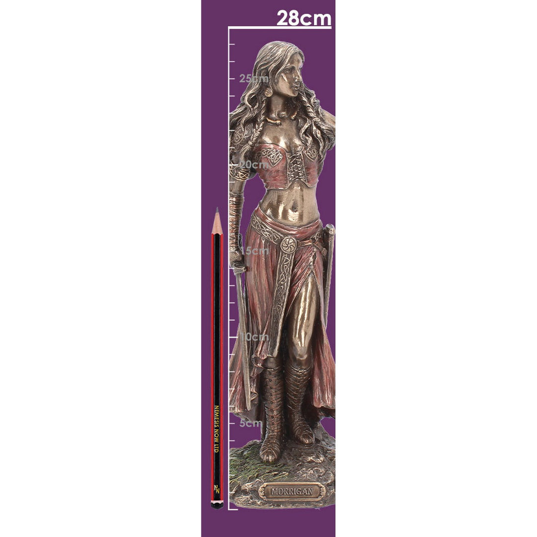 Morrigan and Crow Figurine Bronze Ornament H3153H7