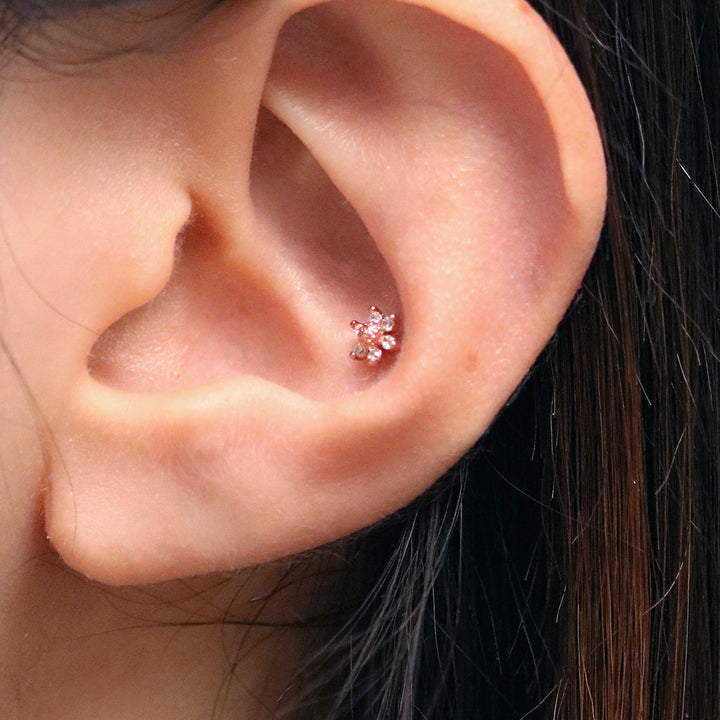 Daisy piercing-2