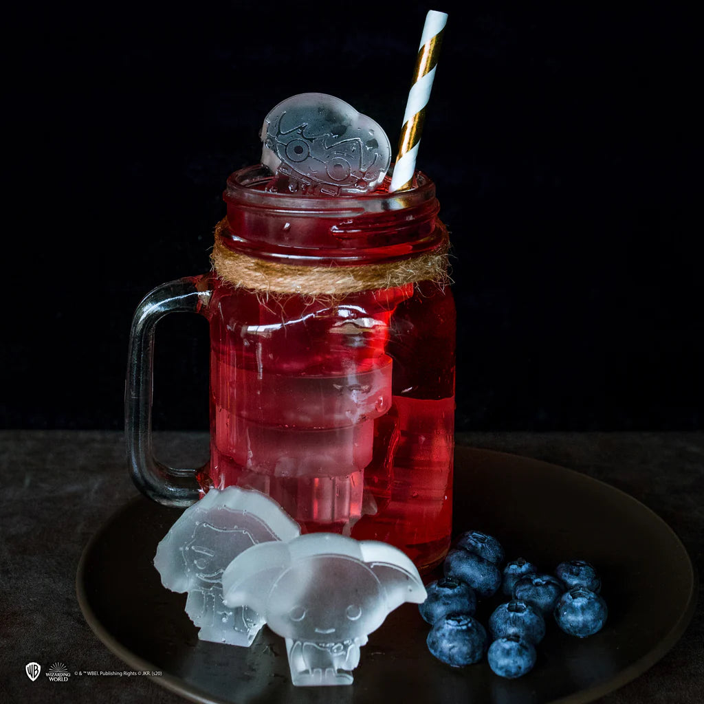 Harry Potter Ice Cube Mold Harry Potter Kawaii CR4009