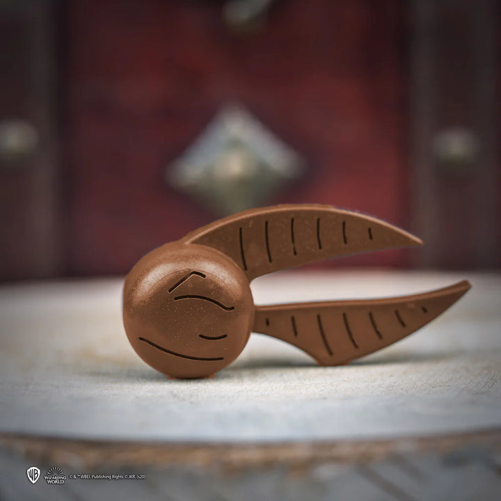 Harry Potter Ice Cube Mold CR4008