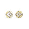 Guess Secret Garden Womens Yellow Gold And White Cubic Zirconia Earrings UBE06040YGWH
