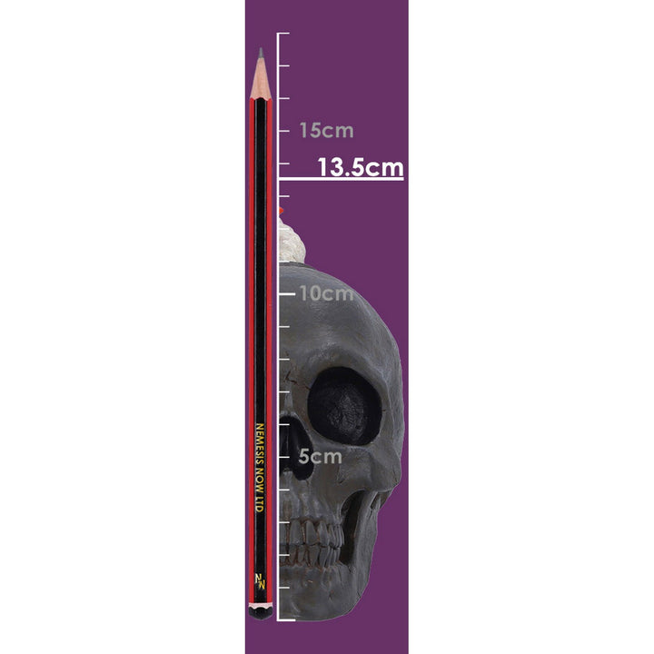 Mind Blown Skull Figurine K7484A26