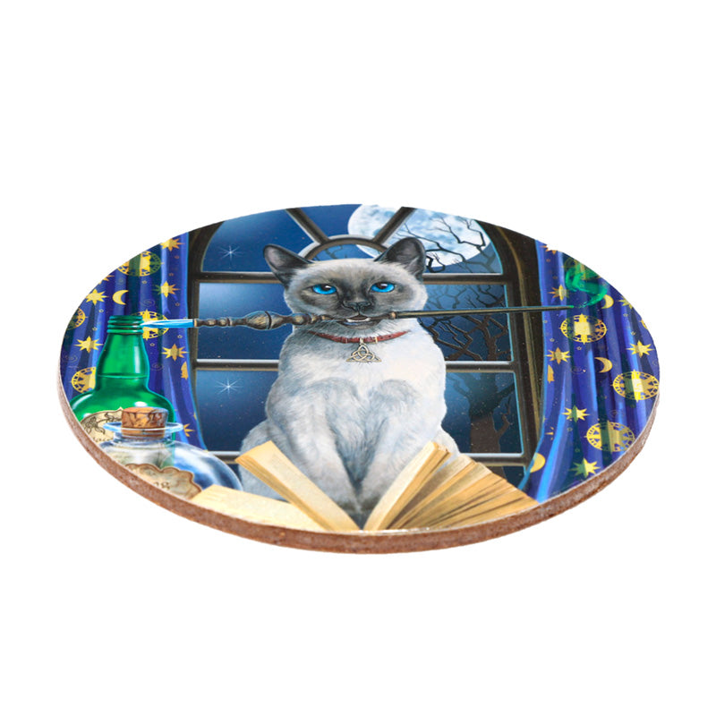 Lisa Parker Magic Cats Set of 4 Cork Coasters KP77