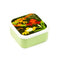 Set of 3 Lunch Box M/L/XL Tropical Tree Frog LBOX123