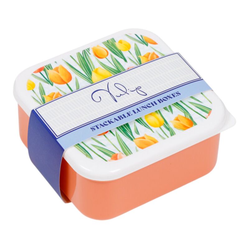 Set of 3 Lunch Box M/L/XL Tulips LBOX144