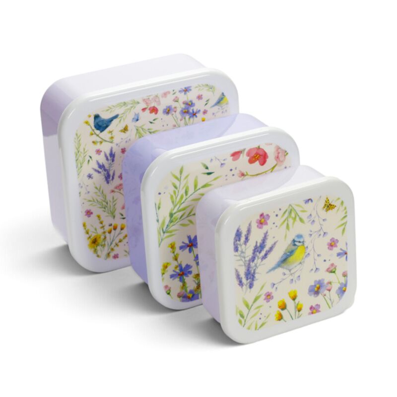 Set of 3 Lunch Box S/M/L Jan Pashley Wings & Wildflowers LBOX147