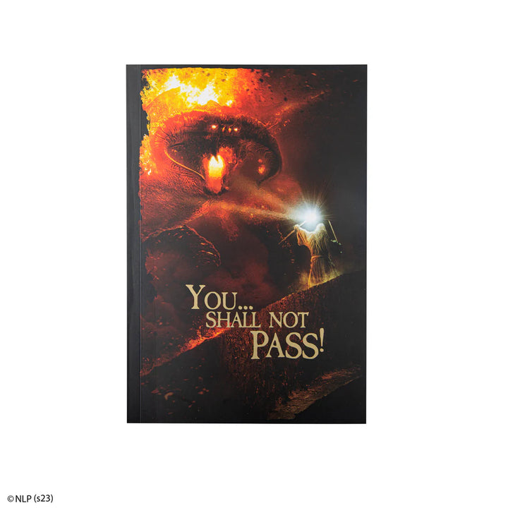 You... Shall not pass! Notebook MAP5143