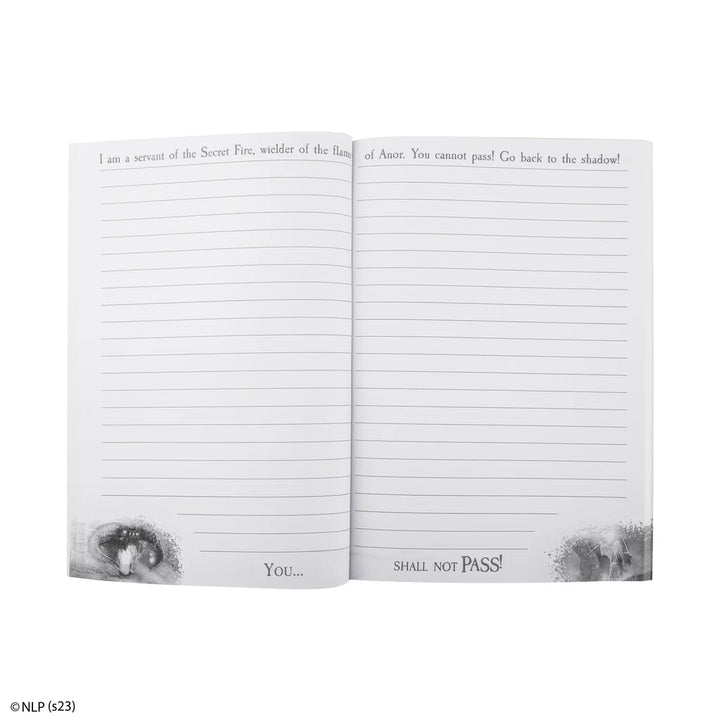 You... Shall not pass! Notebook MAP5143