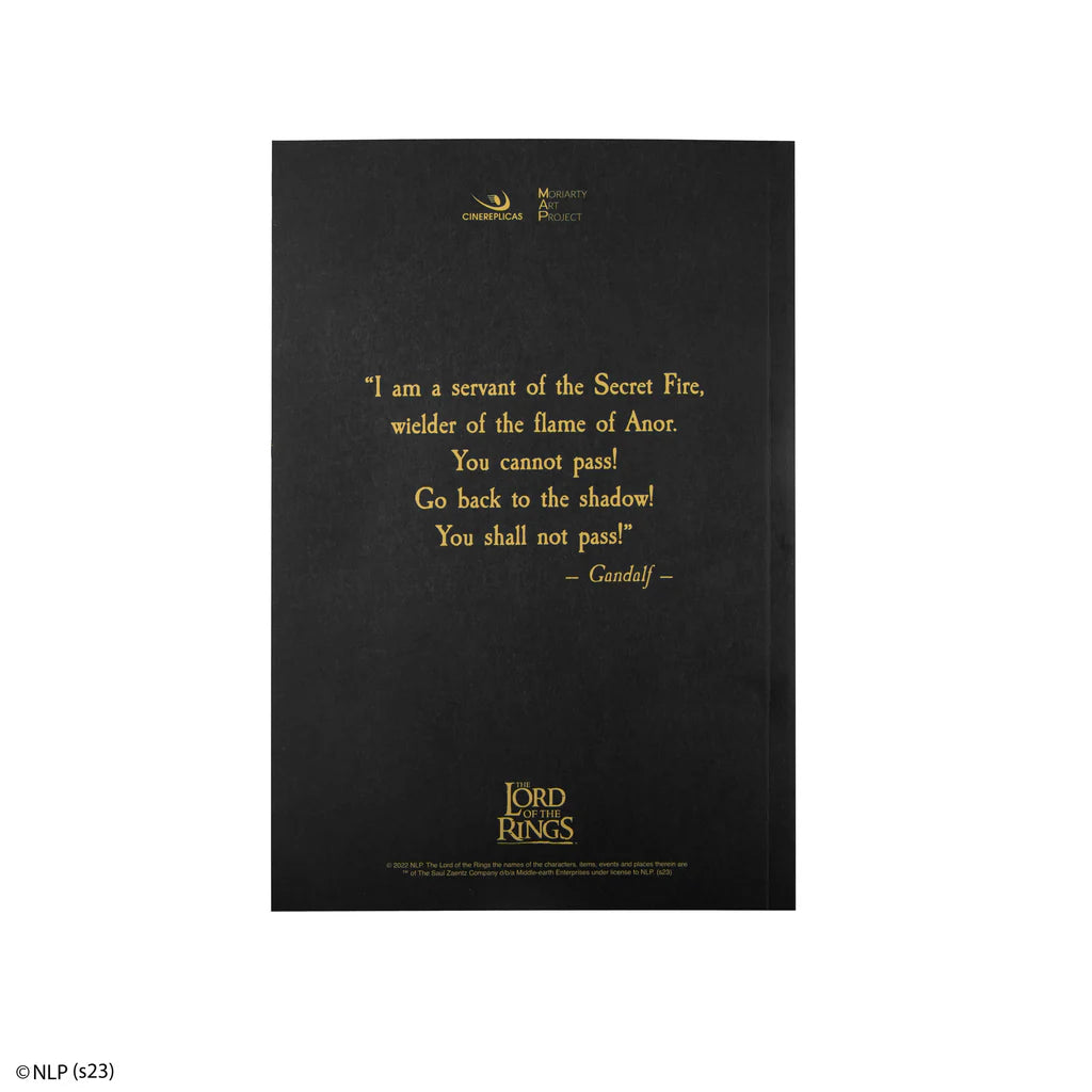 You... Shall not pass! Notebook MAP5143
