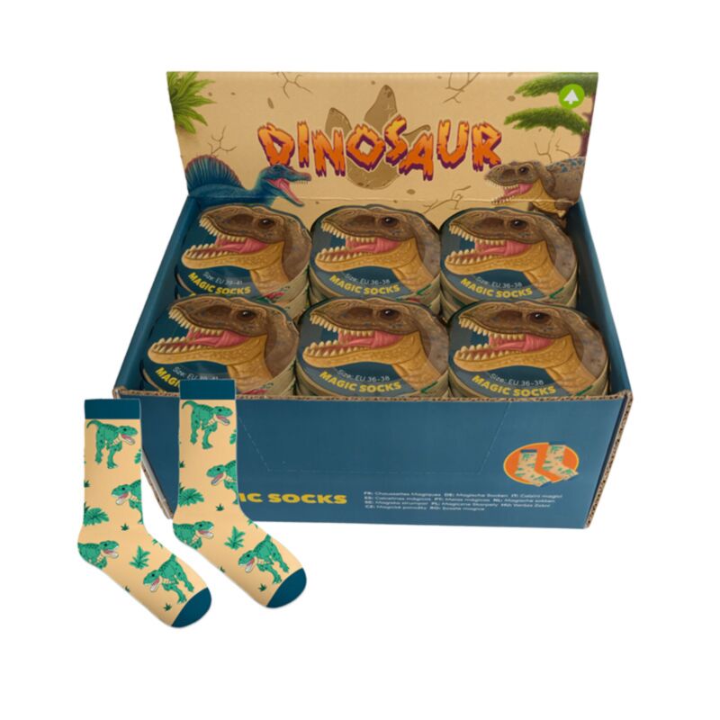 Dinosaur Compressed Magic Socks MSOCK05