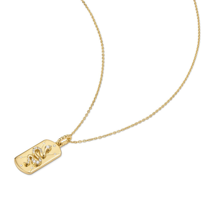 Gold necklace with a dog tag pendant on a white background