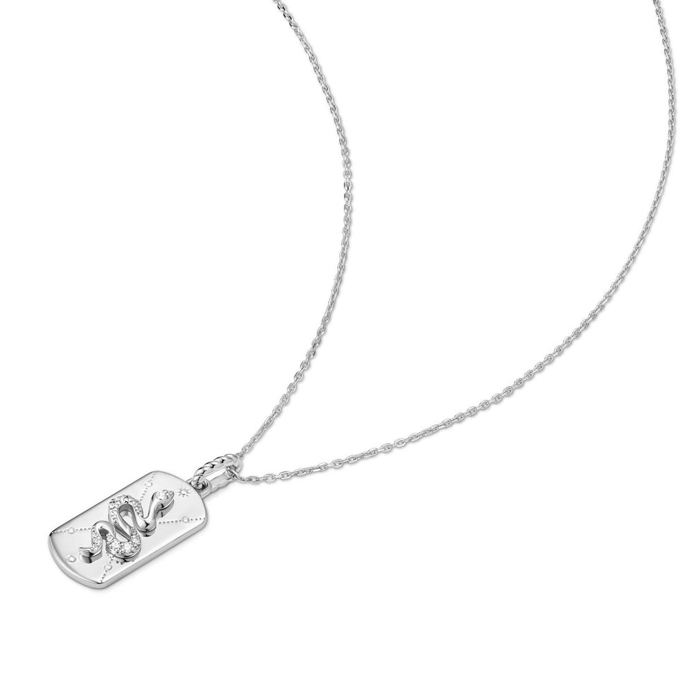 Ania Haie Silver Serpent Necklace N072-06H