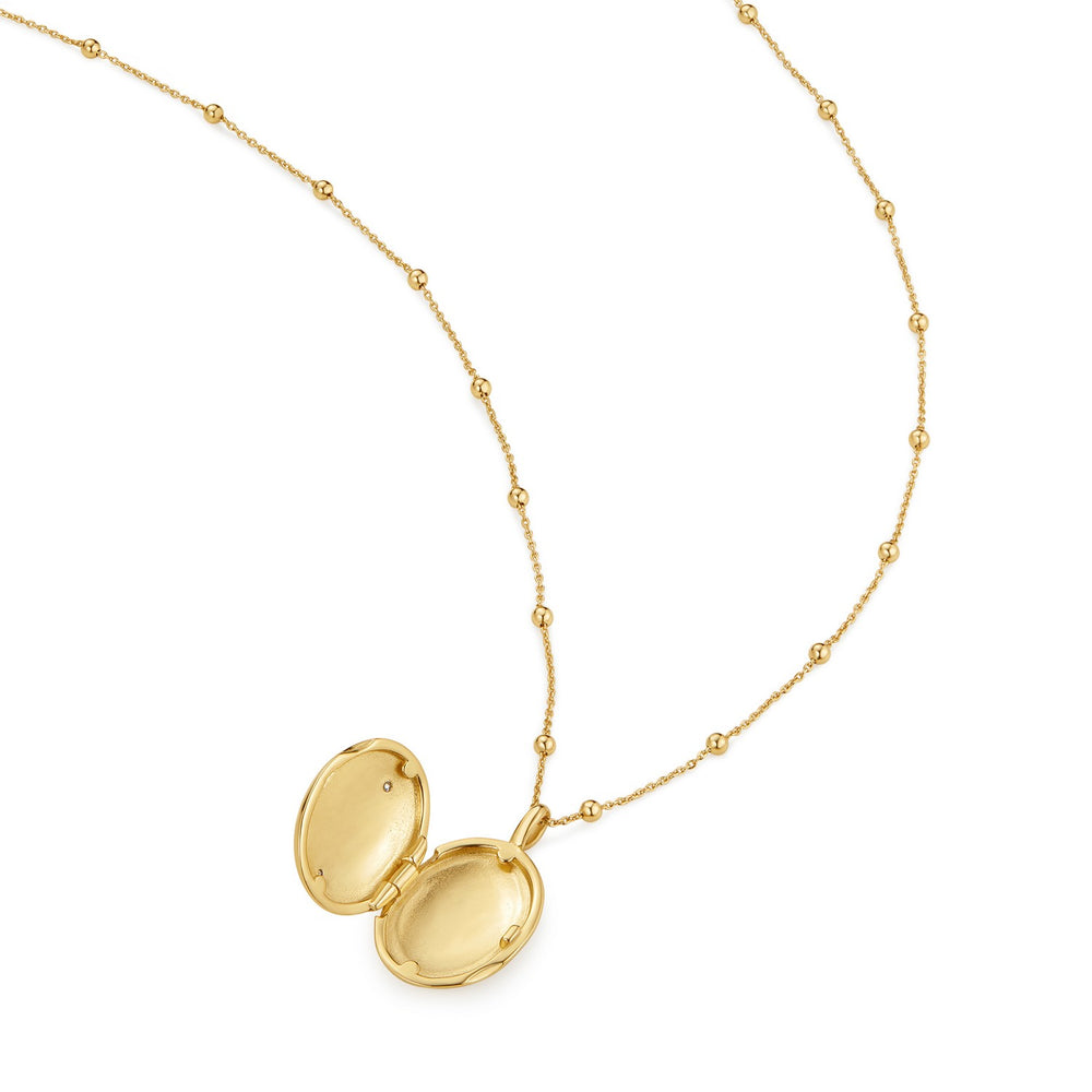 Ania Haie Gold Butterfly Locket Necklace N073-08G