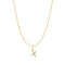 Ania Haie Gold Letter X Initial Necklace N074-32G