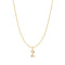 Ania Haie Gold Letter Z Initial Necklace N074-34G