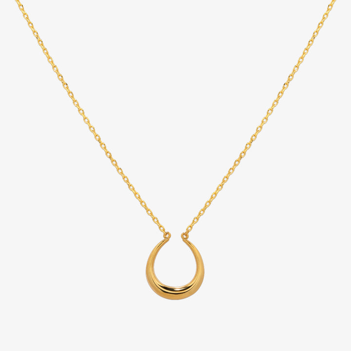 Horseshoe style necklace-0