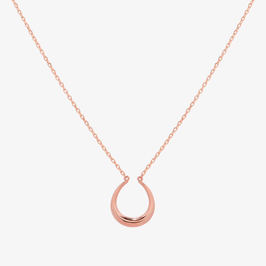 Horseshoe style necklace-5