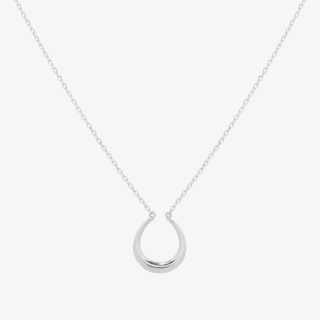 Horseshoe style necklace-4