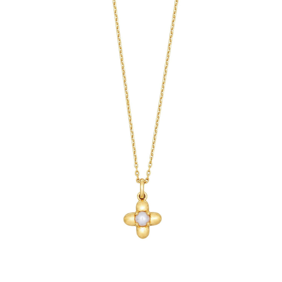 Laura Ashley Pembroke Trellis Vintage Flower Necklace N4790