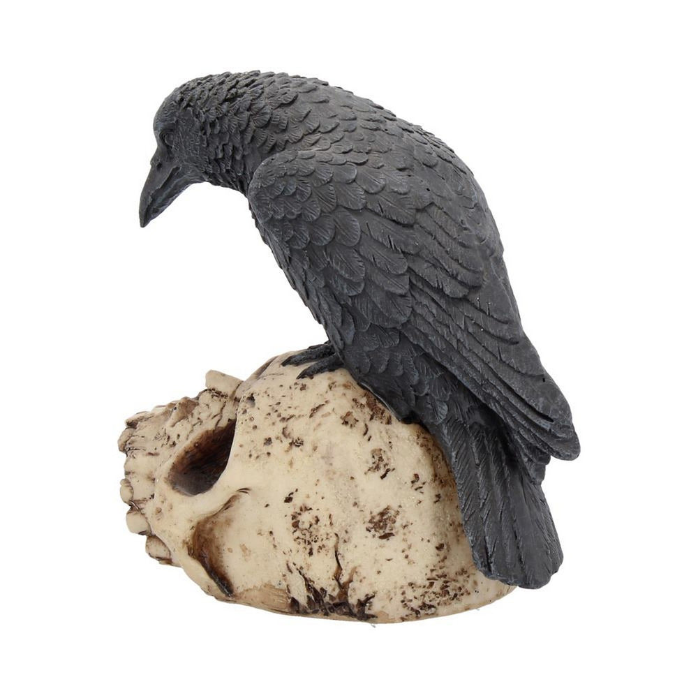 Raven Remains Figurine Crow Skull Gothic Ornament NEM2834