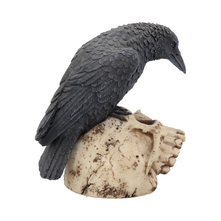 Raven Remains Figurine Crow Skull Gothic Ornament NEM2834