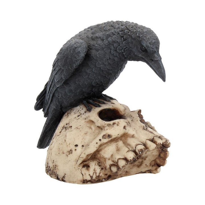 Raven Remains Figurine Crow Skull Gothic Ornament NEM2834