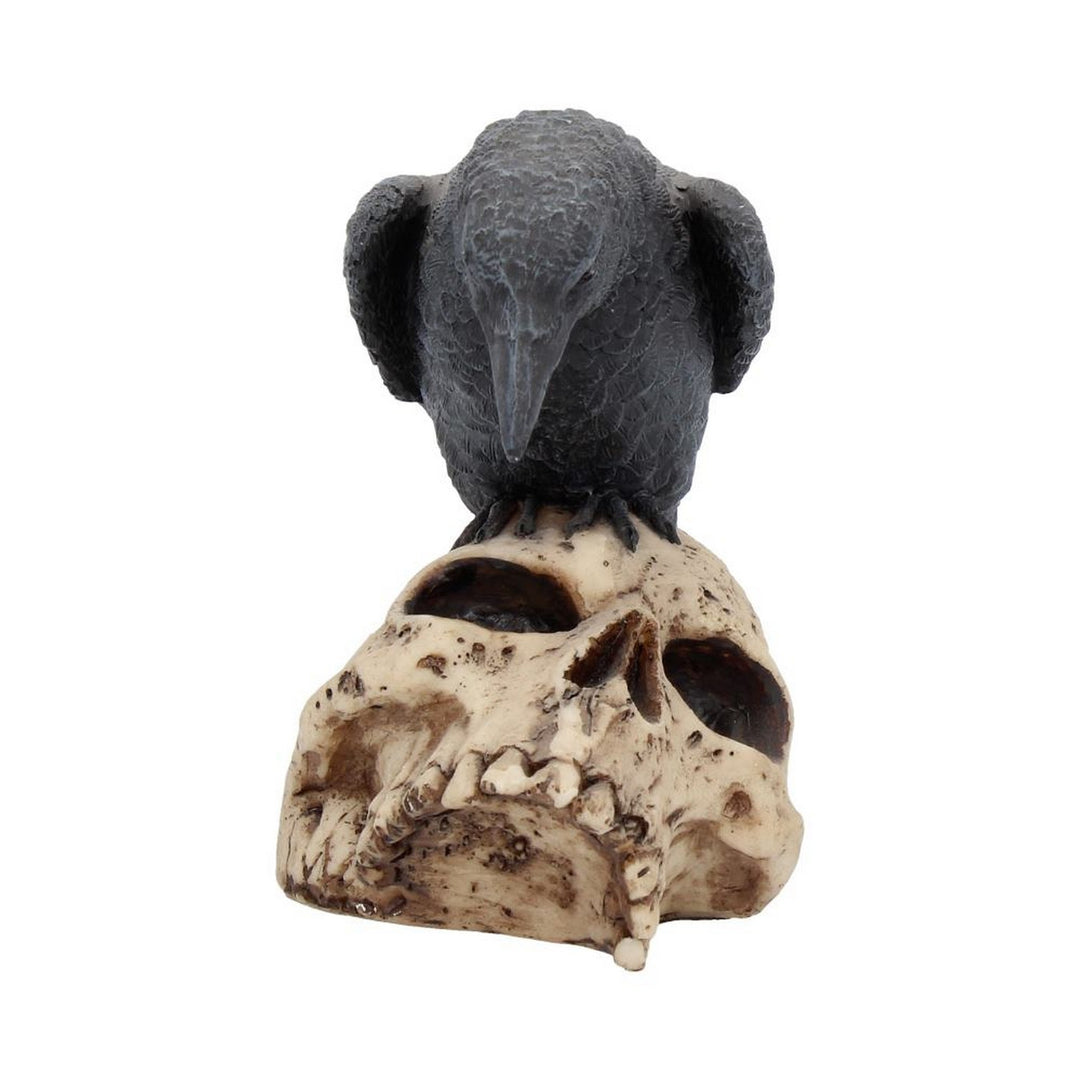 Raven Remains Figurine Crow Skull Gothic Ornament NEM2834