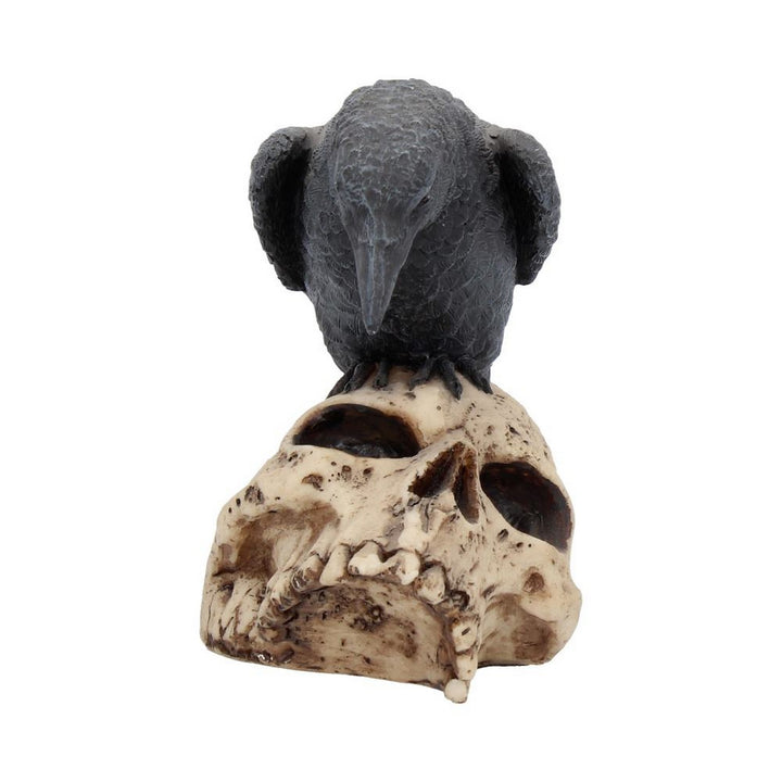 Raven Remains Figurine Crow Skull Gothic Ornament NEM2834