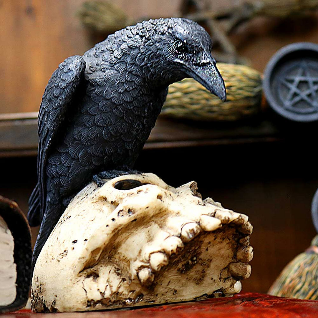 Raven Remains Figurine Crow Skull Gothic Ornament NEM2834