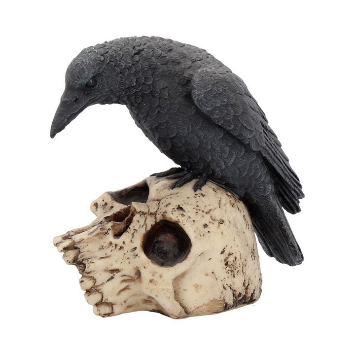 Raven Remains Figurine Crow Skull Gothic Ornament NEM2834