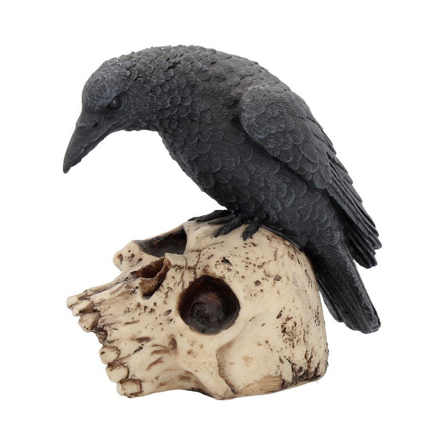 Raven Remains Figurine Crow Skull Gothic Ornament NEM2834