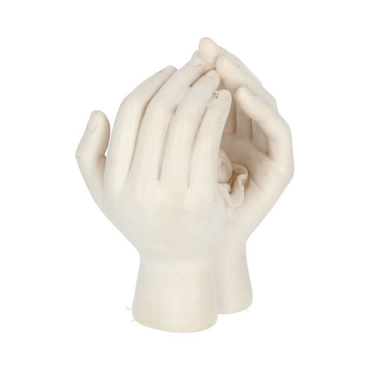 Large Shelter 17.5cm Baby in Cradled Hand Figurine NEM3701