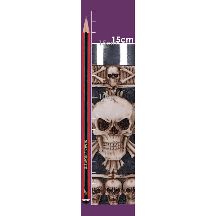 Large Tankard of Skulls Bone Skull Mug NEM3722