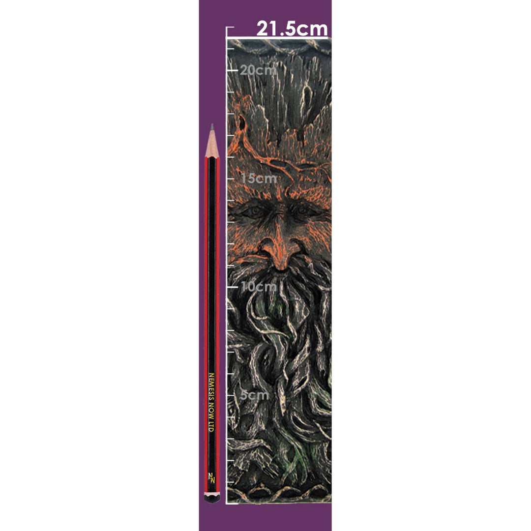 Tree Beard Notebook Green Man Tree Spirit Journal NEM5149