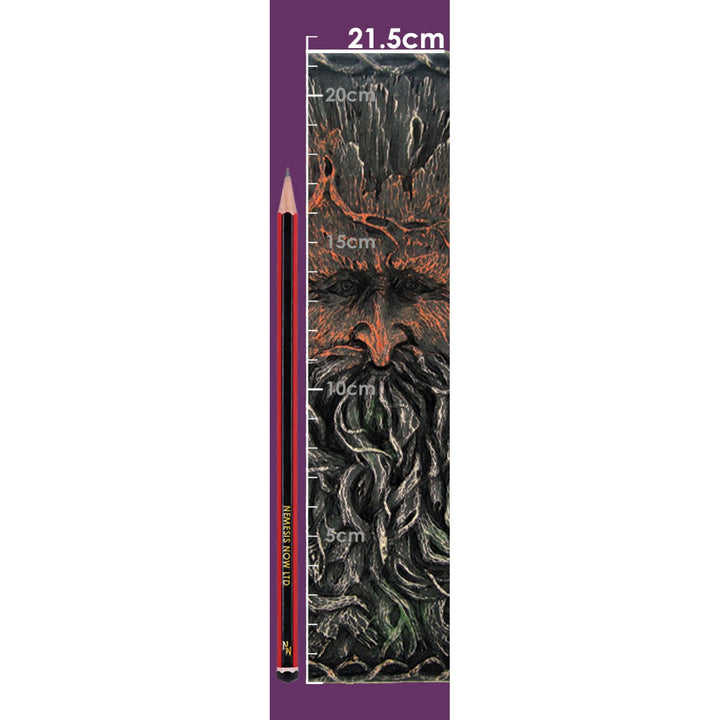 Tree Beard Notebook Green Man Tree Spirit Journal NEM5149