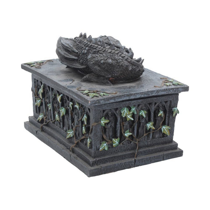 Dragon Ivy Tarot Card Holder Box NOW102