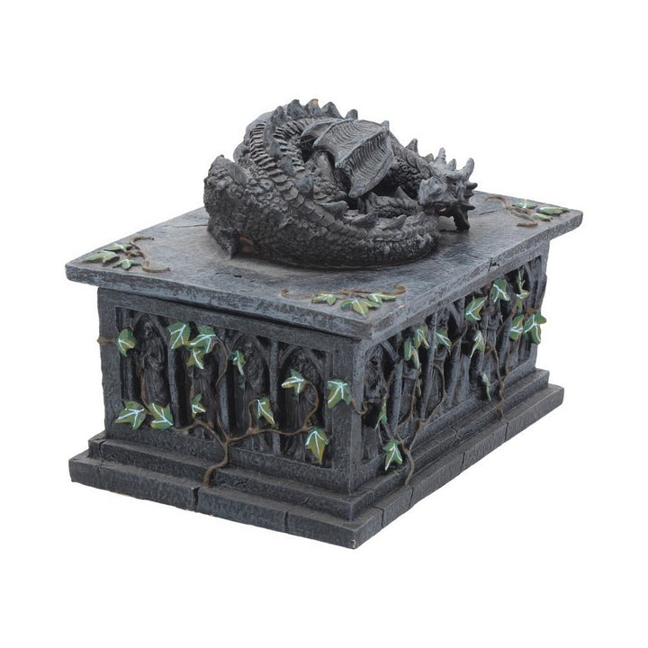 Dragon Ivy Tarot Card Holder Box NOW102