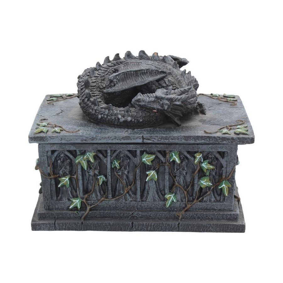 Dragon Ivy Tarot Card Holder Box NOW102
