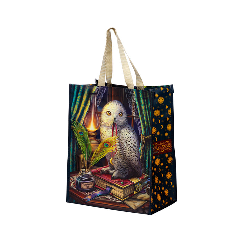 Lisa Parker Guardian of Spells Owl Reusable Shopping Bag NWBAG93