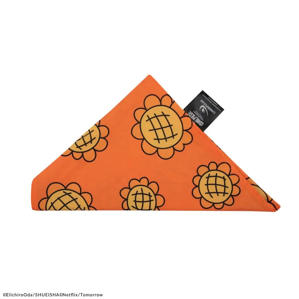 Nami Bandana & Berry Coins Set CR2992