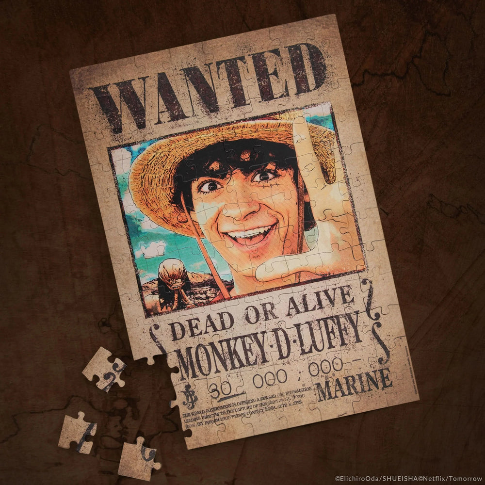 Wanted Luffy Magnetic Puzzle CR5891
